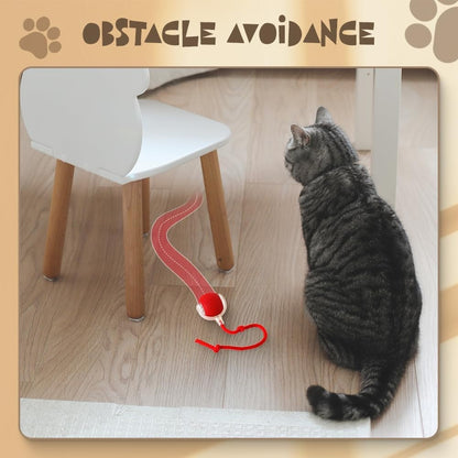 Pet Interactive Rolling Ball