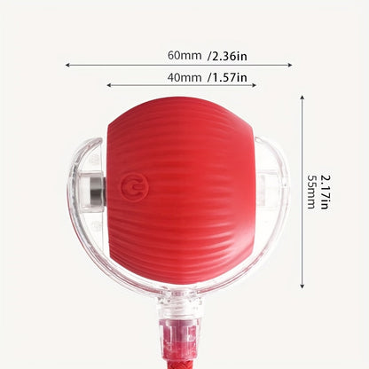 Pet Interactive Rolling Ball