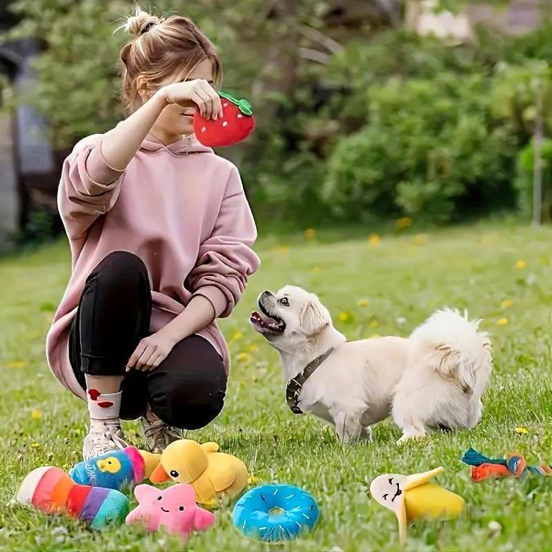 5 Random Style Dog Squeak Toy Set